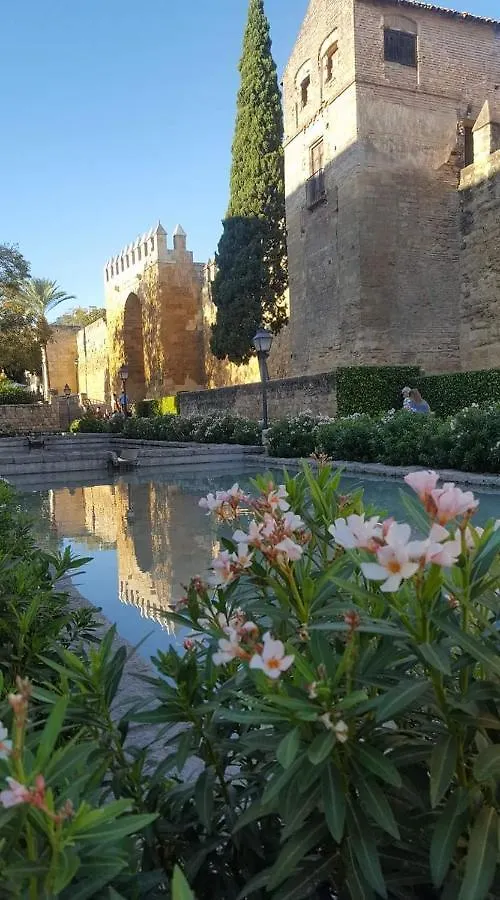 Centro Cordoba Apartment